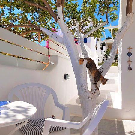 Lemon Tree Maisonette - Naoussa Paros Εξωτερικό φωτογραφία