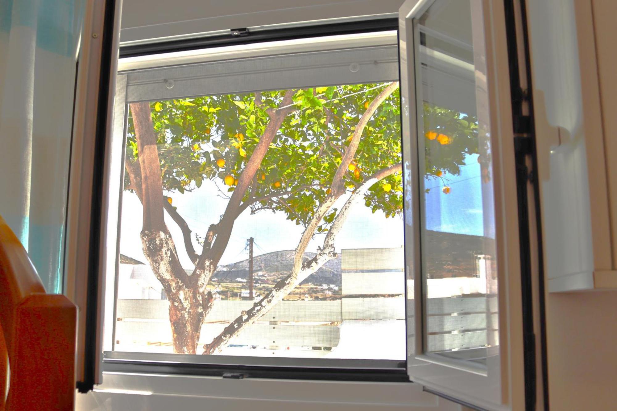 Lemon Tree Maisonette - Naoussa Paros Εξωτερικό φωτογραφία