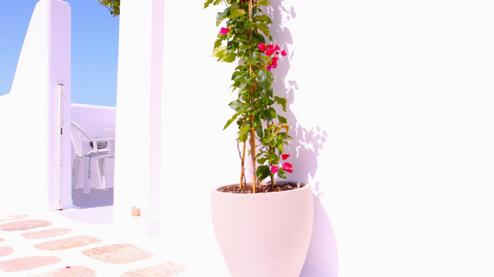 Lemon Tree Maisonette - Naoussa Paros Εξωτερικό φωτογραφία