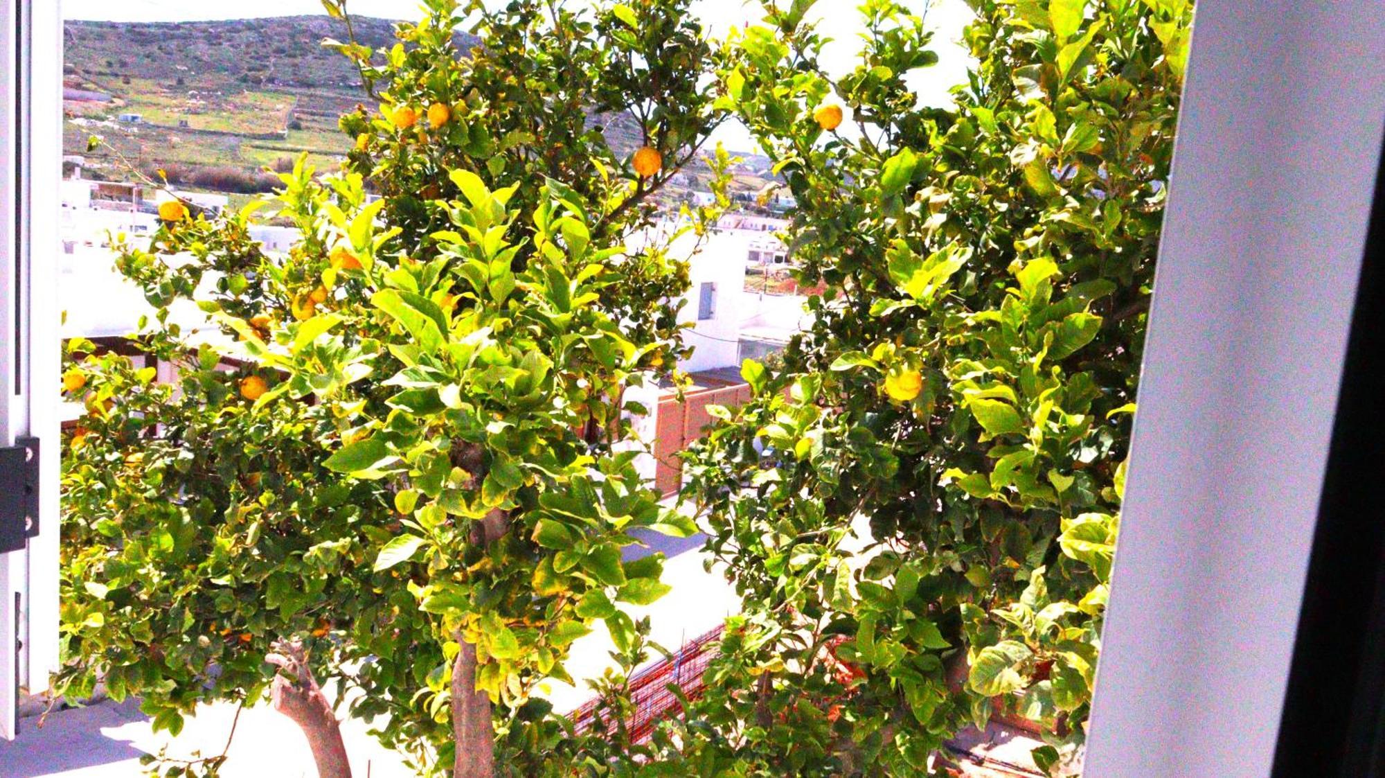 Lemon Tree Maisonette - Naoussa Paros Εξωτερικό φωτογραφία