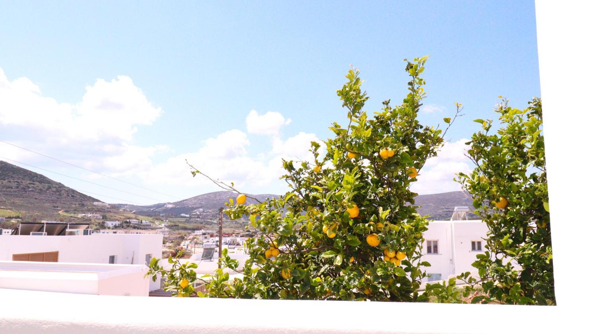 Lemon Tree Maisonette - Naoussa Paros Εξωτερικό φωτογραφία
